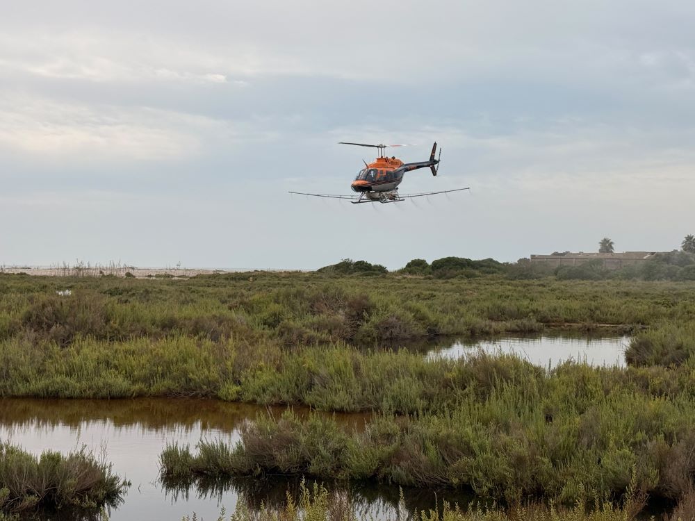 La Diputació de Castelló intensifica els tractaments contra els mosquits per via aèria i terrestre
