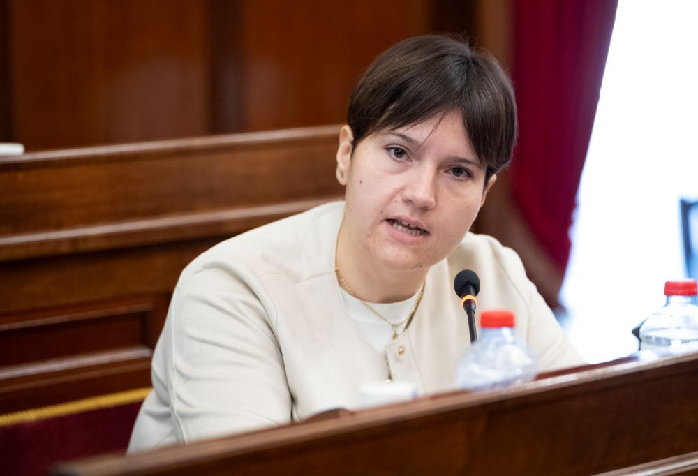 El PSPV vol incorporar la salut mental a les polítiques municipals amb suport de la Diputació
