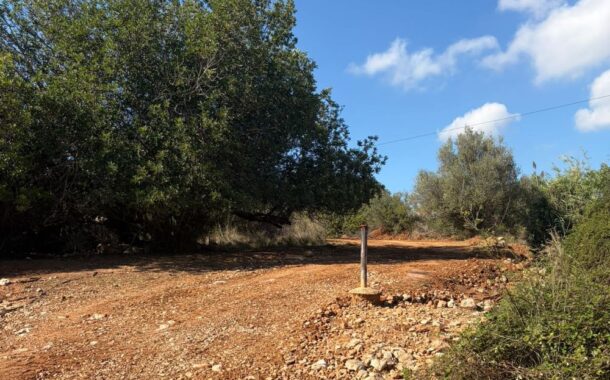 La maquinària del Consorci de Bombers arregla camins afectats per l'últim temporal a Santa Magdalena