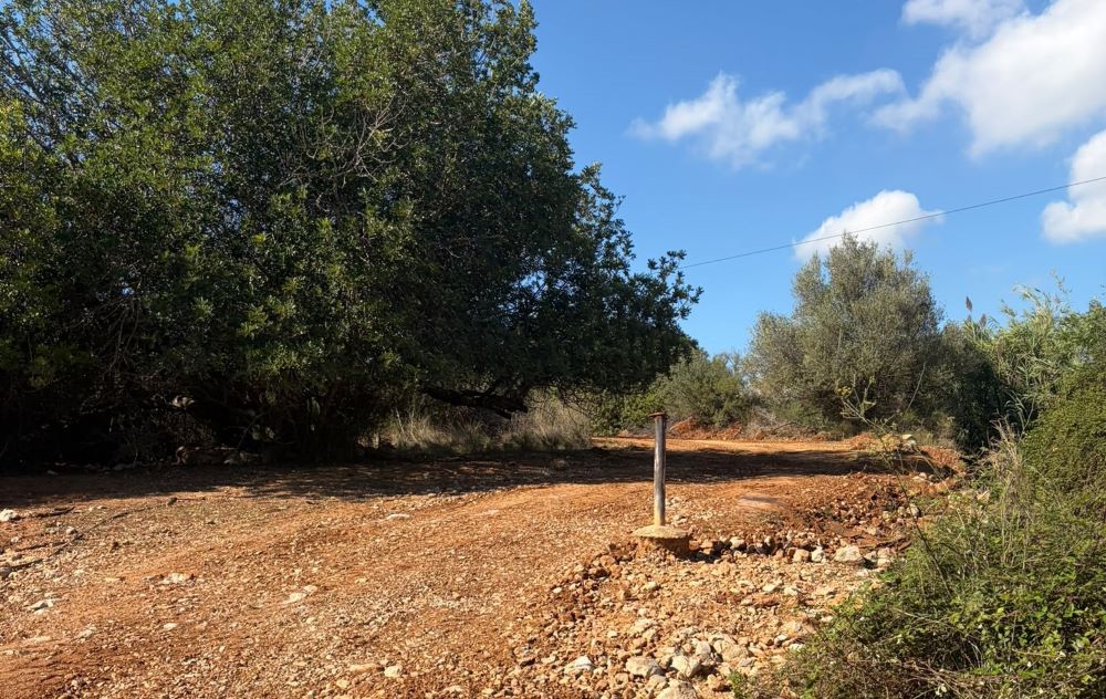 La maquinària del Consorci de Bombers arregla camins afectats per l'últim temporal a Santa Magdalena