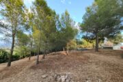 Vinaròs reforça la prevenció d'incendis amb treballs de tractament de vegetació a l'entorn de l'Ermita