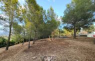 Vinaròs reforça la prevenció d'incendis amb treballs de tractament de vegetació a l'entorn de l'Ermita