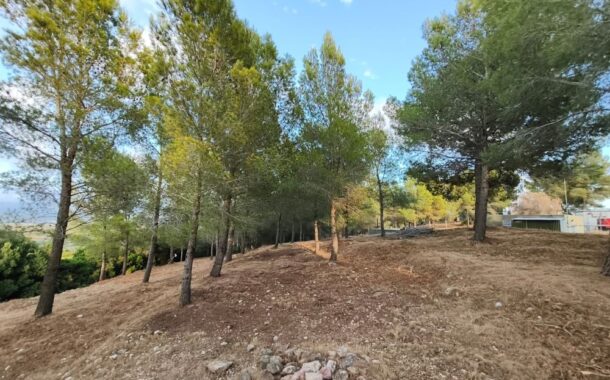 Vinaròs reforça la prevenció d'incendis amb treballs de tractament de vegetació a l'entorn de l'Ermita