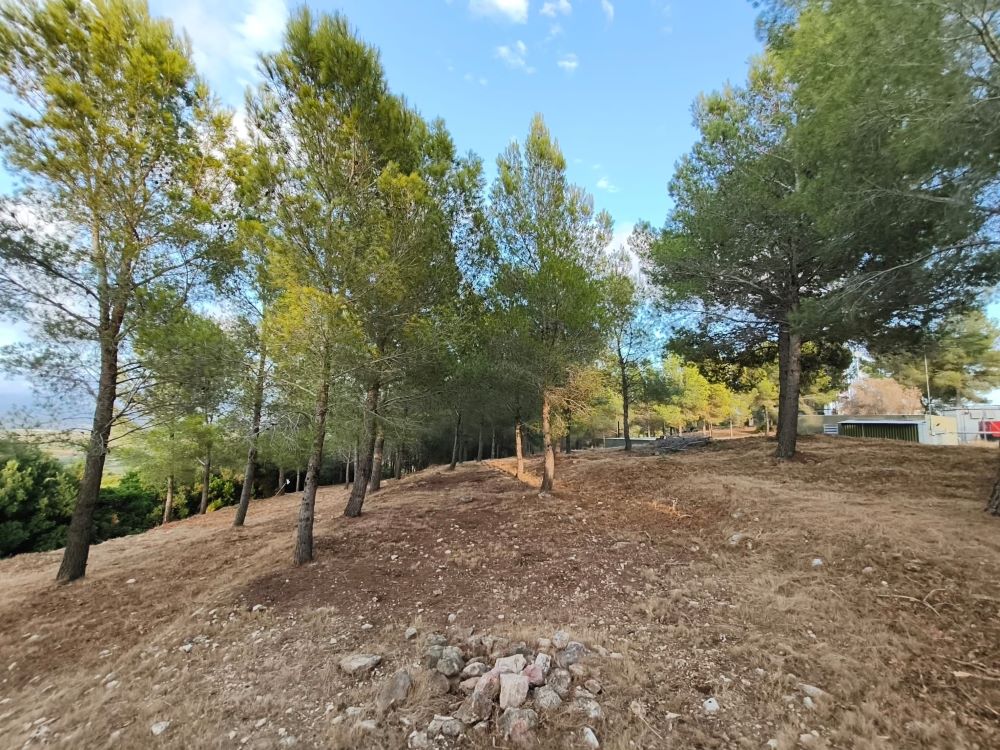 Vinaròs reforça la prevenció d'incendis amb treballs de tractament de vegetació a l'entorn de l'Ermita