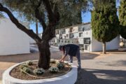 El Cementeri de Benicarló es prepara per a la celebració de Tots Sants