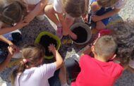 Vinaròs inicia una nova edició del programa d’horts escolars