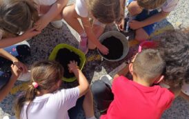 Vinaròs inicia una nova edició del programa d’horts escolars
