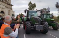 AVA-ASAJA, LA UNIÓ i CCPV-COAG participaran en una manifestació-tractorada a Madrid el 28 d'octubre